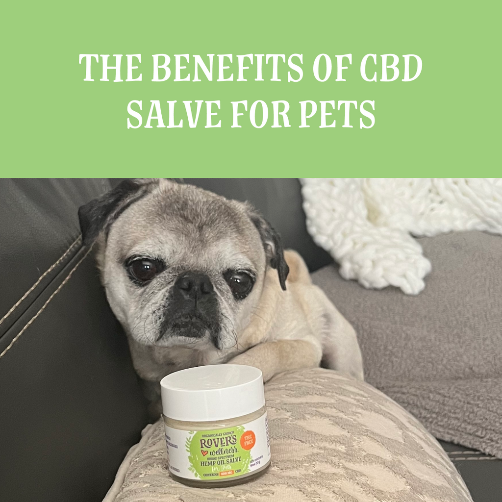 Rover's Wellness | Certified Organic Hemp Oil for Pets