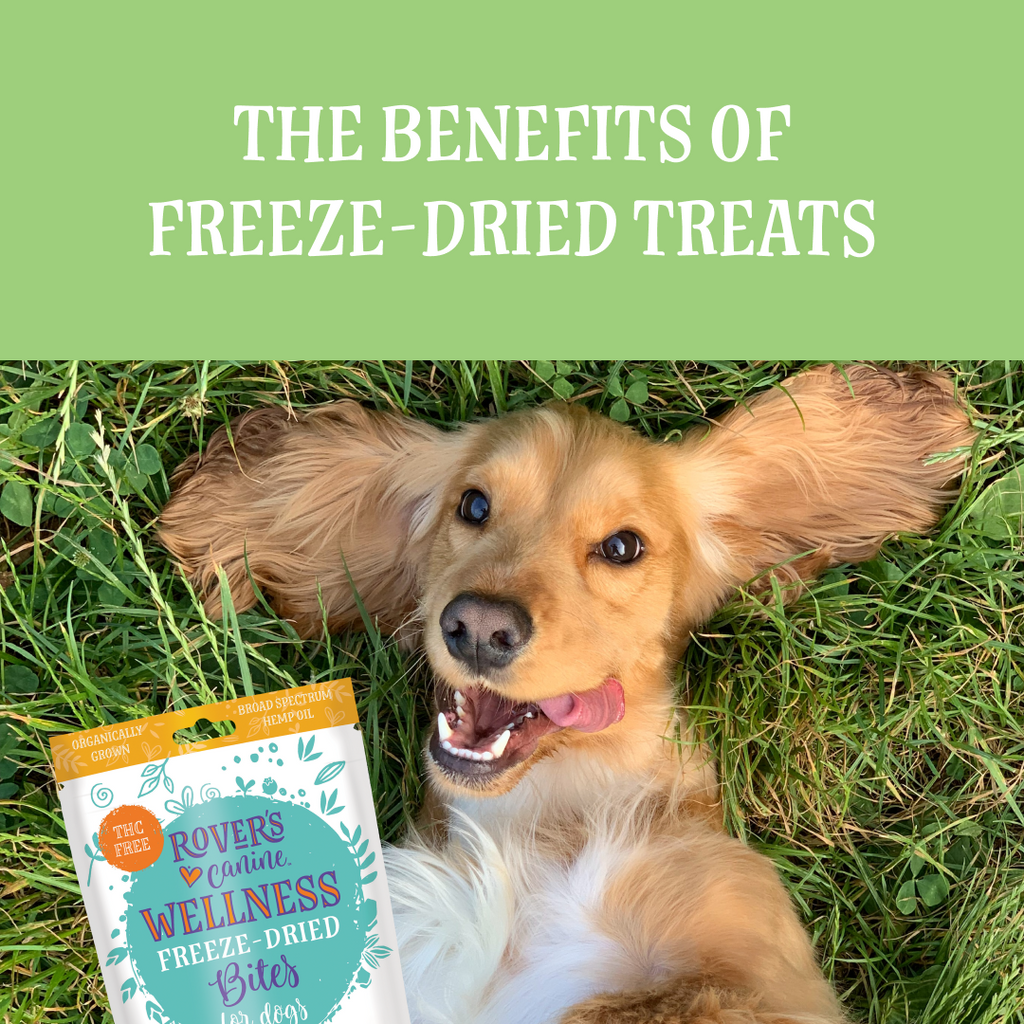 Why choose freeze-dried dog treats?